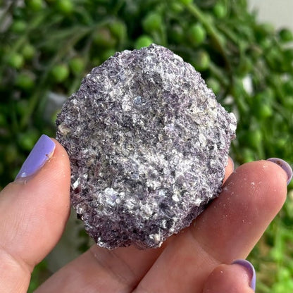 Purple Mica Raw 3