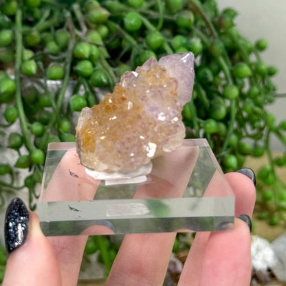 Spirit Quartz Cluster (J700)