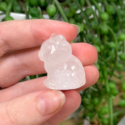 Clear Quartz Cat (J653)