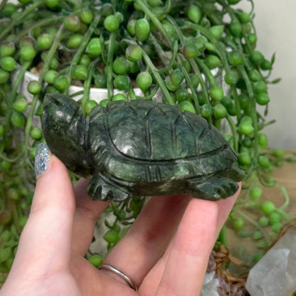 Green Jade Turtle (C563)