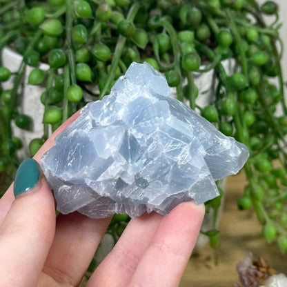 Blue Celestite Cluster (K151)