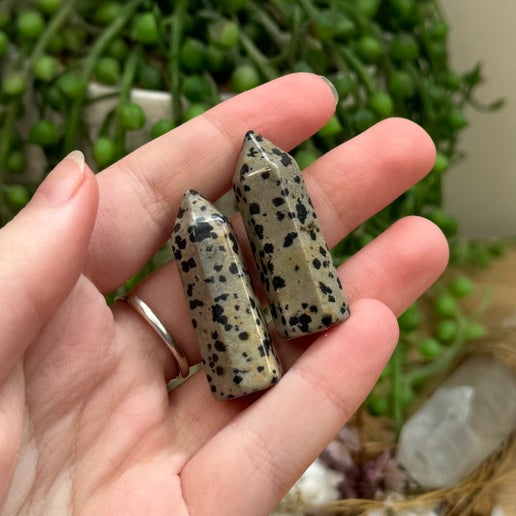 Dalmatian Jasper Small Point