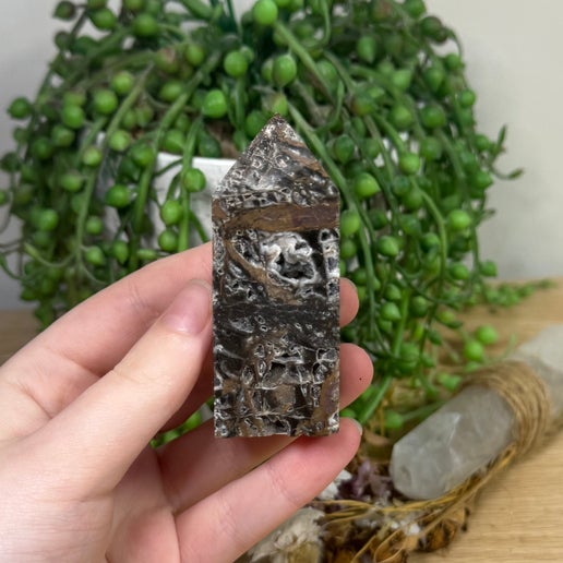Sphalerite Point (F47)