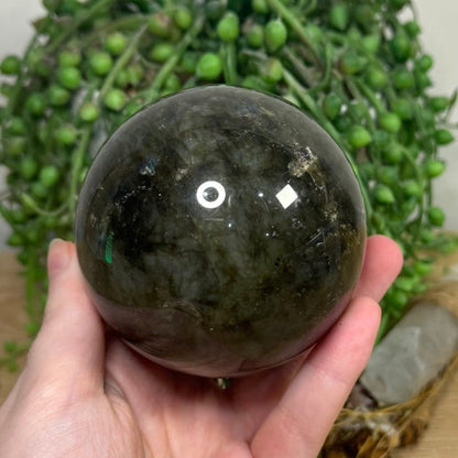 Labradorite Sphere (H744)