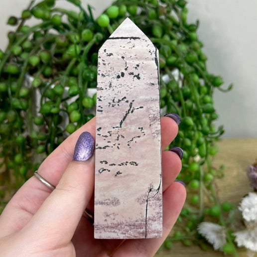 Picture Stone Jasper Point (H768)