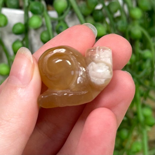 Flower Agate Small Snail