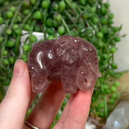 Strawberry Quartz Elephant (J568)