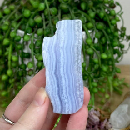 Blue Lace Agate Slice (M61)