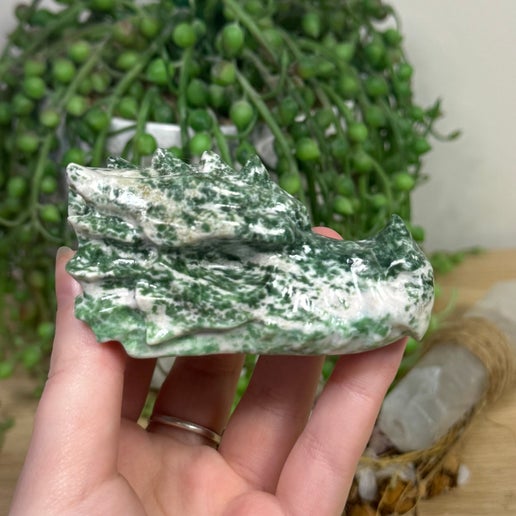 Green Spot Jasper Dragon Head (F43)