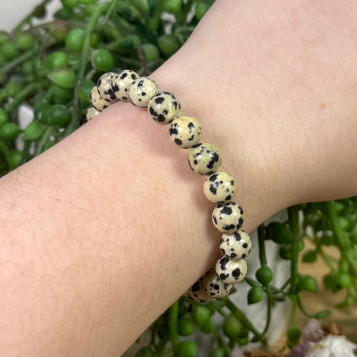 Dalmatian Jasper Bracelet