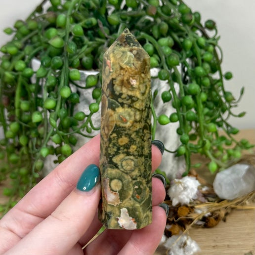 Rainforest Jasper Point (F851)