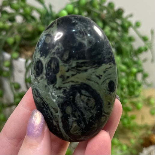 Kambaba Jasper Palm Stone (B749)