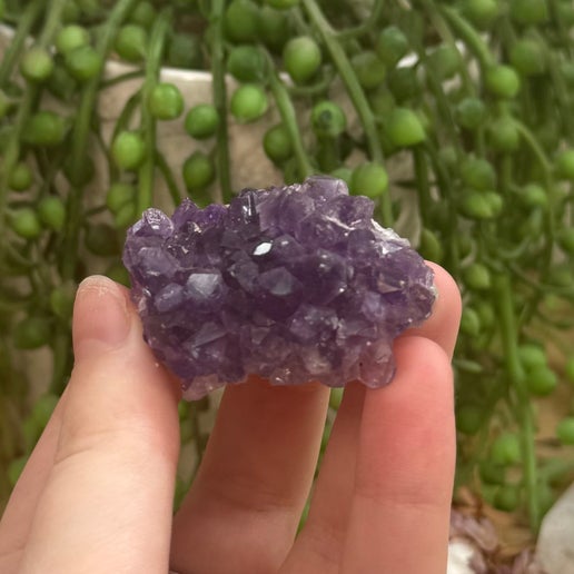 Amethyst Cluster (G99)