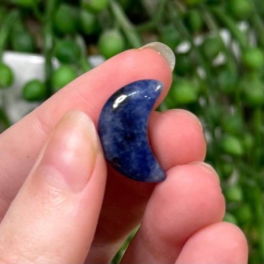 Sodalite Tiny Moon