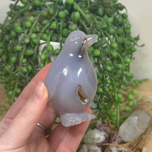 Druzy Agatę Penguin (L508)