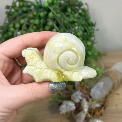 Yellow Jade Snail (F990)