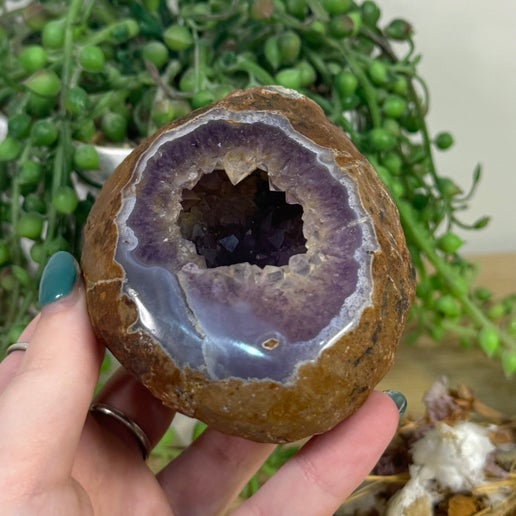 Druzy Amethyst Geode (J915)