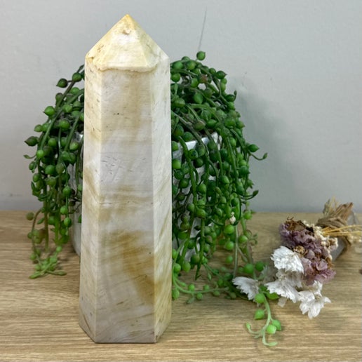 Ocean Jasper Tower (F886)