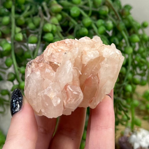 Red Phantom Quartz Cluster (I688)