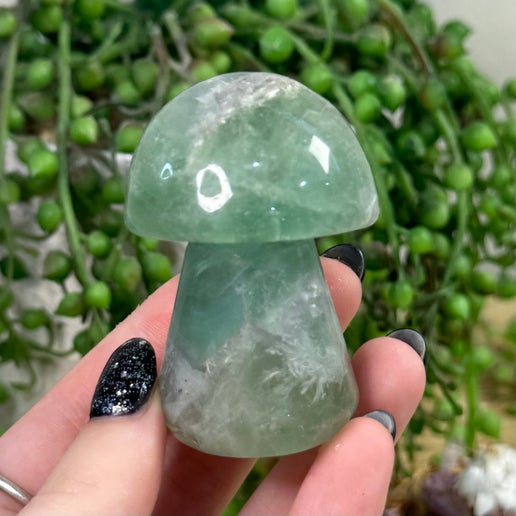 Green Feather Fluorite Mushroom (E362)