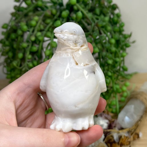 Dendritic Opal Penguin (J910)