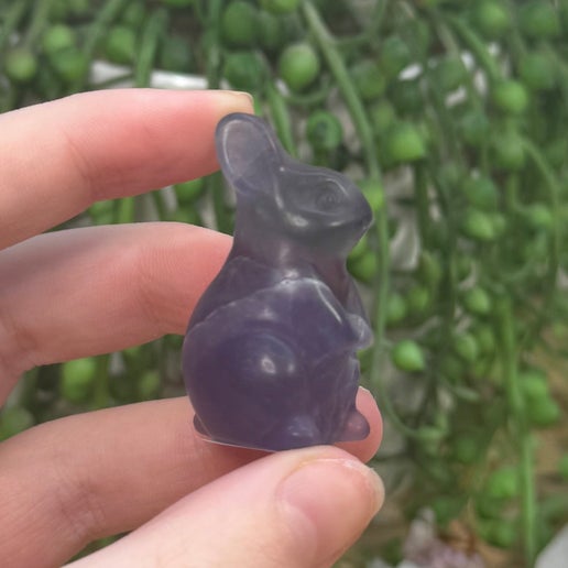 Purple Fluorite Bunny (K325)