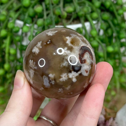 Black Flower Agate Sphere (M81)