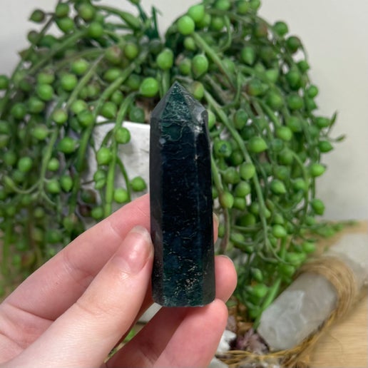 Moss Agate Point (K320)