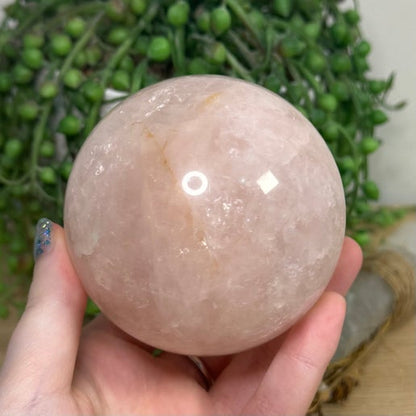 Rose Quartz Sphere (J769)