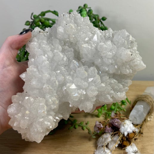 Apophyllite Cluster (D613)