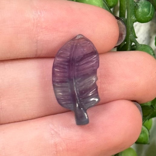 Fluorite Mini Feather