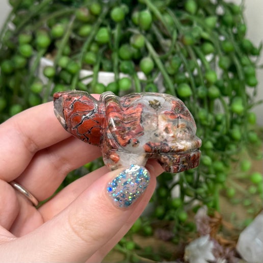 Ocean Jasper Turtle (C267)