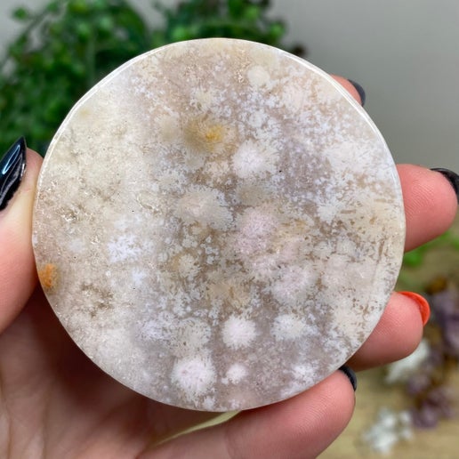 Pink Amethyst / Flower Agate Disc (C58)