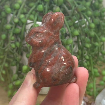 Red Sesame Bunny (K186)