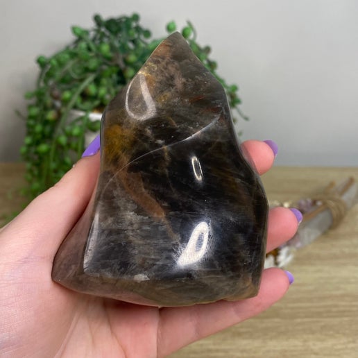 Black Moonstone Flame (C245)