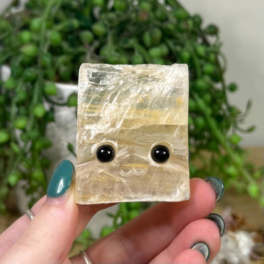 Selenite Pet Rock (K441)