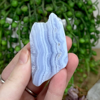 Blue Lace Agate Slice (M60)