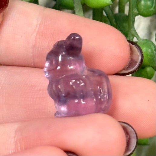 Fluorite Mini Eevee