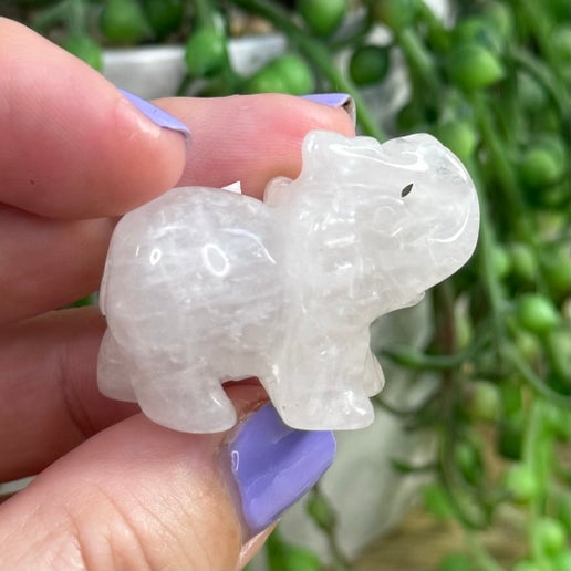 Clear Quartz Elephant (I497)