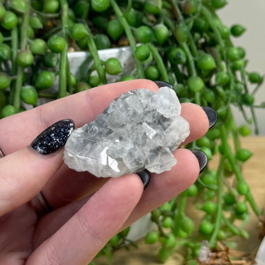 Apophyllite Cluster 1