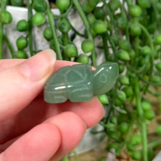 Green Aventurine Mini Turtle