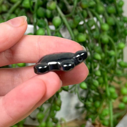 Terahertz Mini Turtle