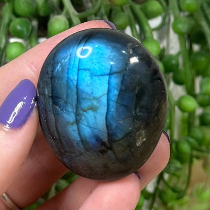 Labradorite Palm Stone (K866)