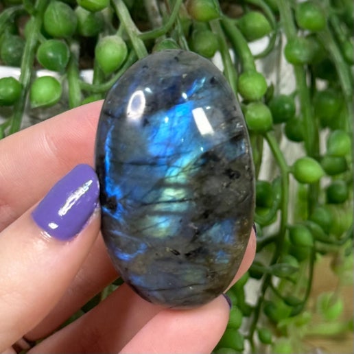 Labradorite Palm Stone (K865)