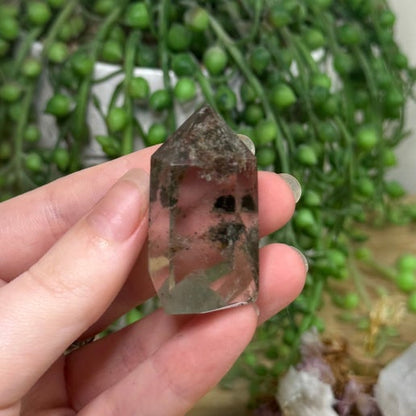 Garden Quartz Point (G302)