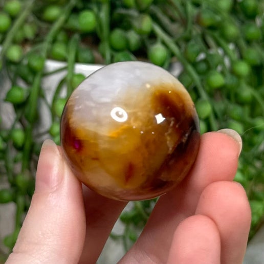 Carnelian Sphere 5