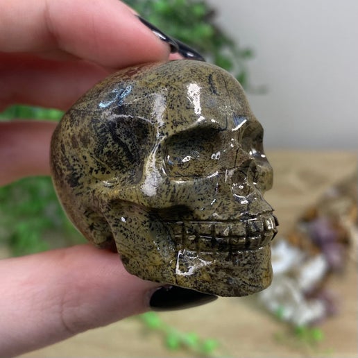 Picture Stone Jasper Skull (E389)