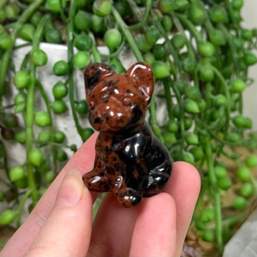 Mahogany Obsidian French Bulldog (F964)