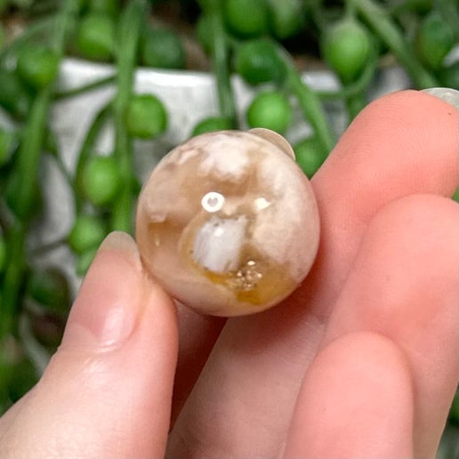 Flower Agate Mini Sphere