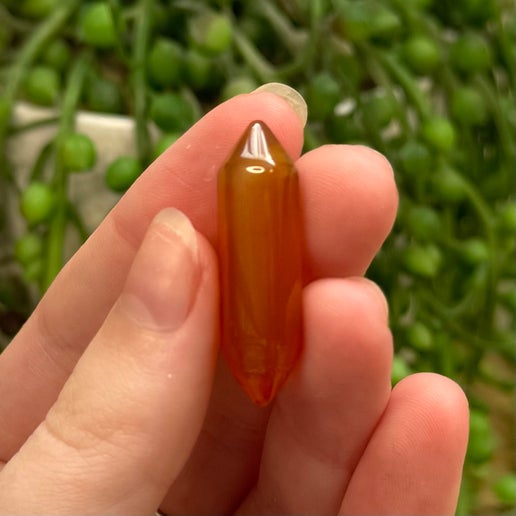 Carnelian Mini Dt